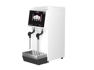 NDF-XCZQ2W 双头蒸汽机