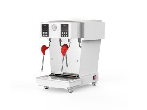 NDF-ZQ2TW 定温双头蒸汽机